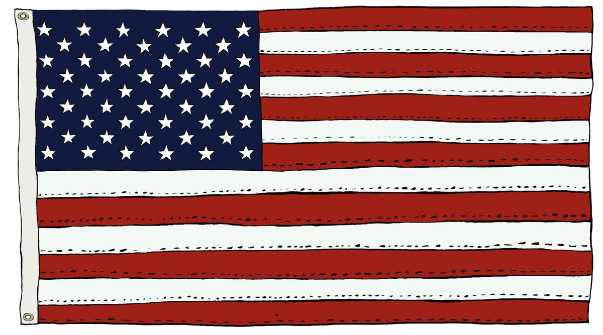American Flag Parts Explained | Fine Line Flag | Understanding the US Flag  Design | Official Flag Dimensions \u0026 Terminology | What Do the Stars and  Stripes Represent? | Meaning Behind the, image size:1200x667
