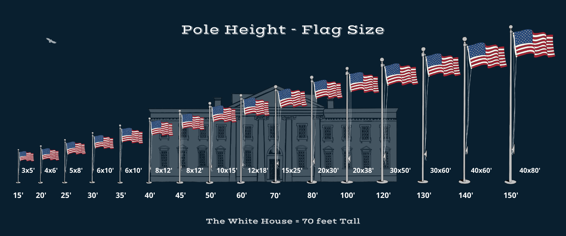 Infographic displaying American flags on poles sizes superimposed over the White House