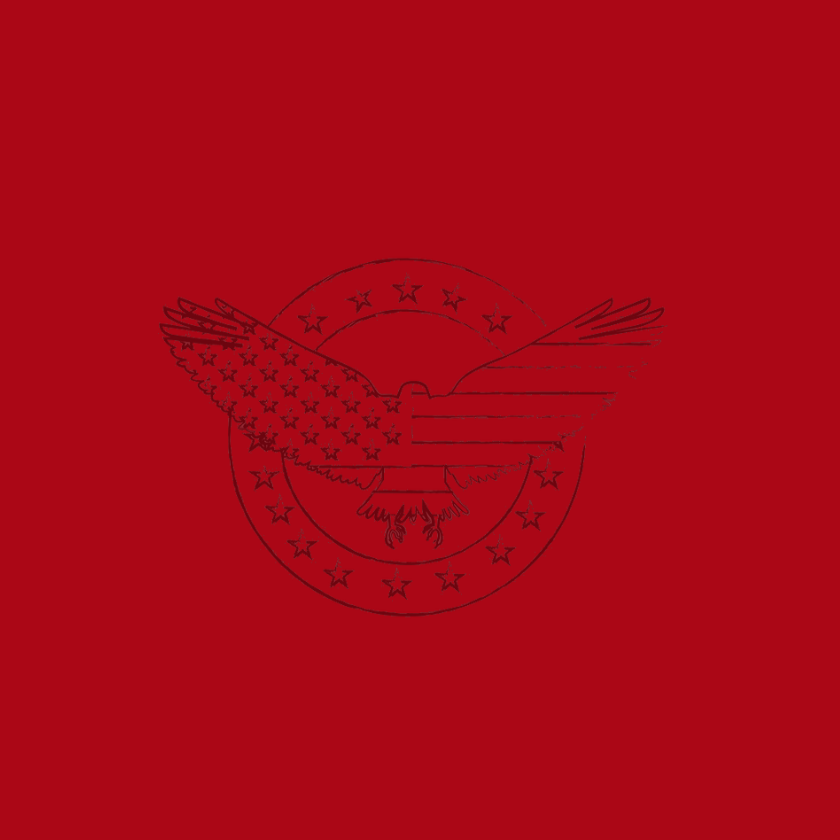 Graphic depicting an eagle with American flag superimposed on red background