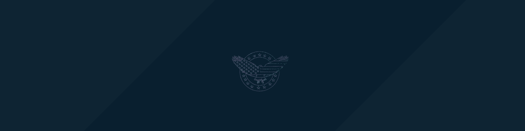 American eagle with American flag print on dark blue background