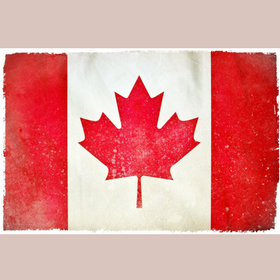Maple leaf canadian flag print red