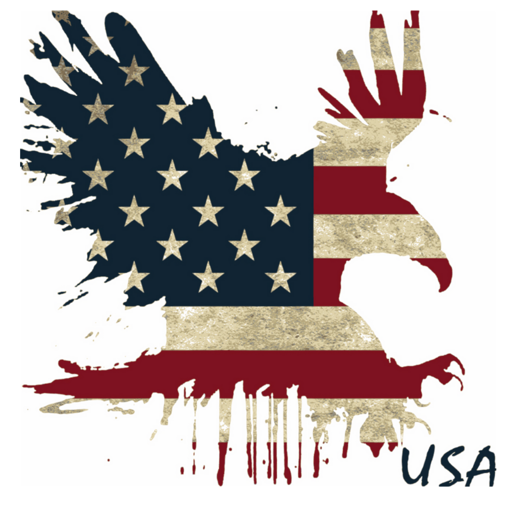 T-Shirt | Eagle Landing T-Shirt | Eagle Landing T-Shirt | Fine Line Flag | finelineflag